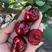 大樱桃产地大量现货，美早，红灯，先锋。品种齐全。