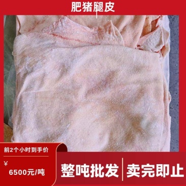 东北精品肥猪腿皮猪肉皮，仓储50吨直发，保质保量，欢迎选