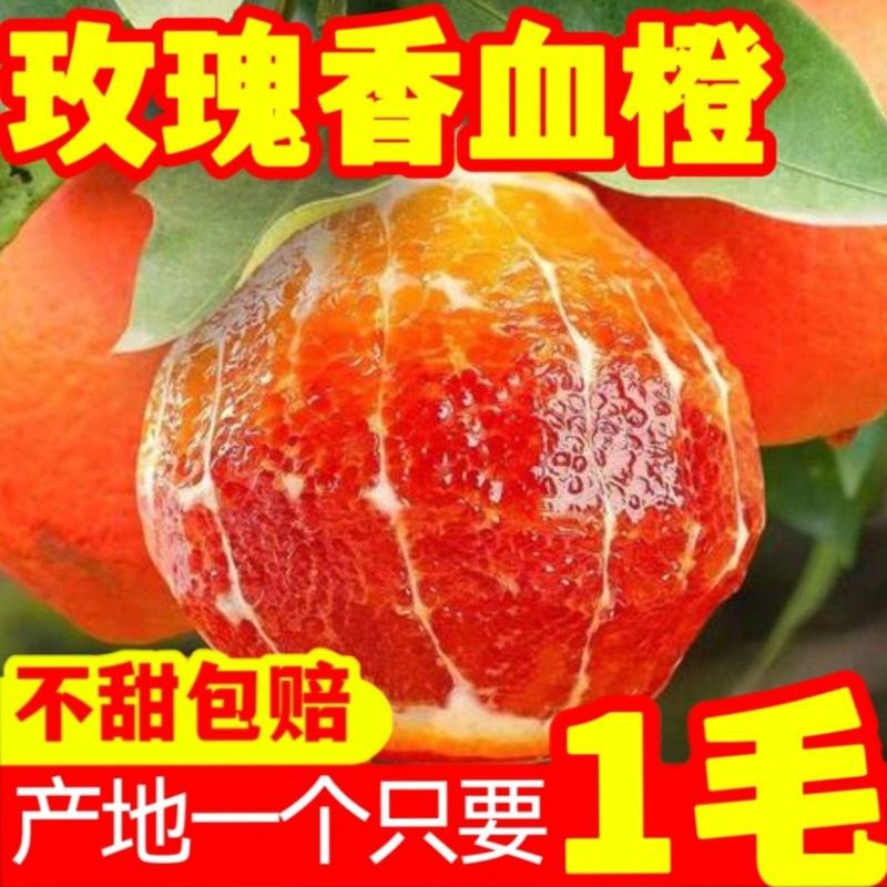 血橙玫瑰香橙子新鲜水果当季整箱柑橘桔手剥血橙整箱包邮