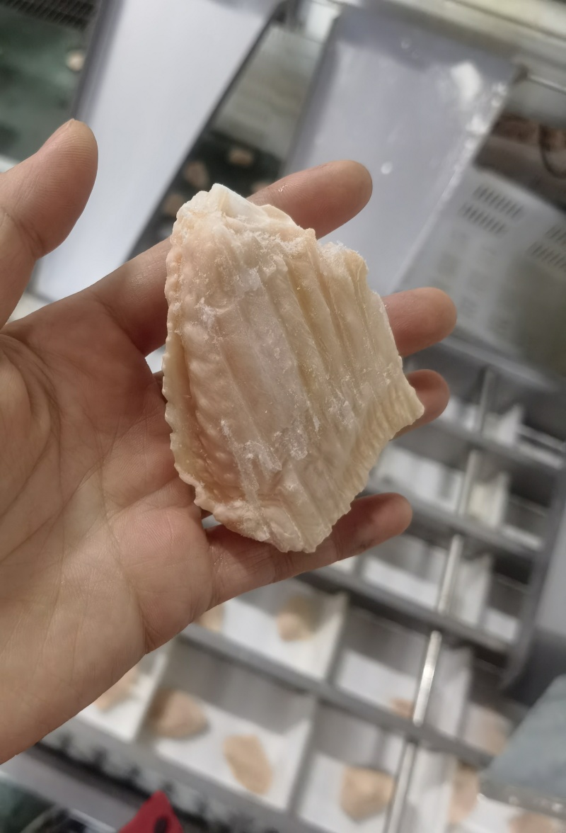精品单冻鸡翅中一级原料制作包装精美诚招全国代理商