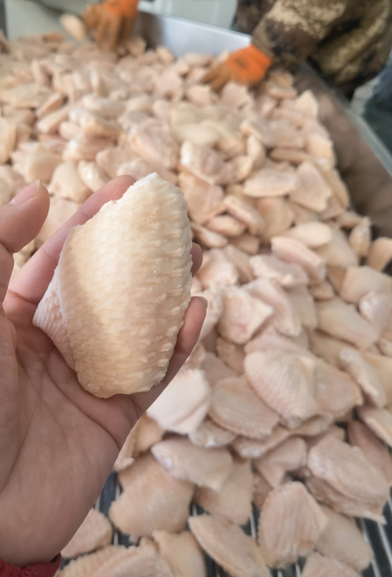 精品单冻鸡翅中一级原料制作包装精美诚招全国代理商