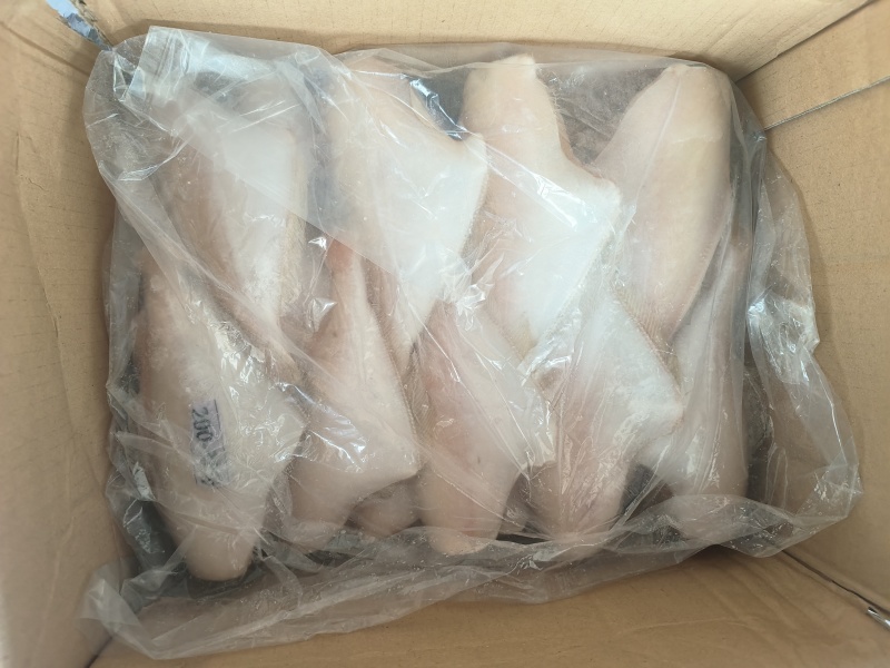 马面鱼剥皮鱼200/300100/150三去马面鱼