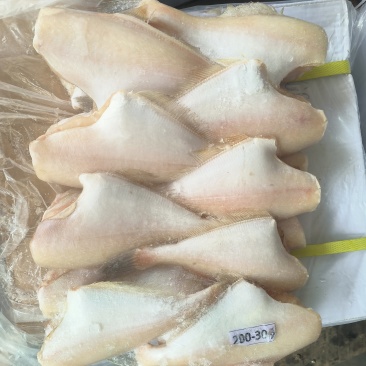 马面鱼剥皮鱼200/300100/150三去马面鱼