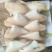 马面鱼剥皮鱼200/300100/150三去马面鱼