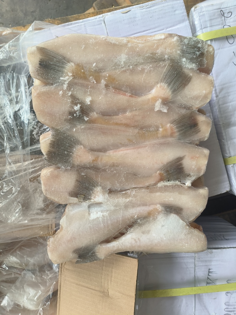 马面鱼剥皮鱼200/300100/150三去马面鱼