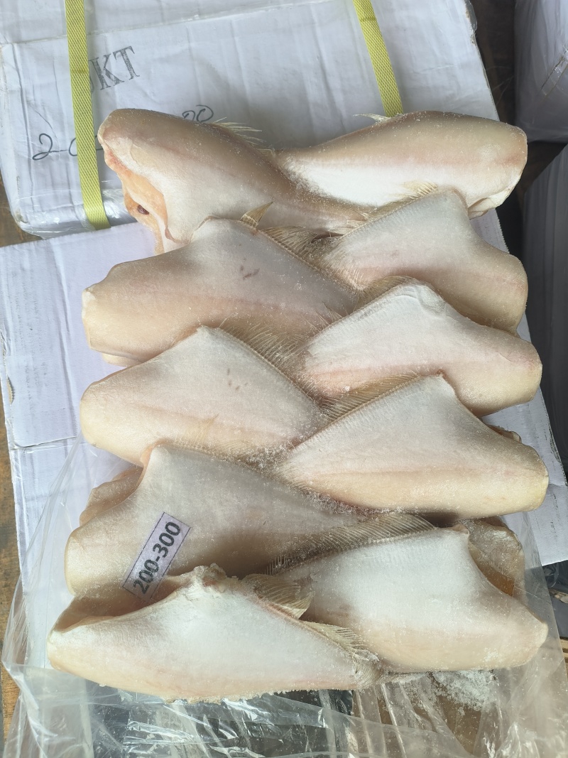 马面鱼剥皮鱼200/300100/150三去马面鱼