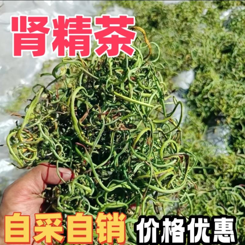 四川高海拔野生小叶绿茶肾精茶新鲜晒干产地直发泡水泡茶