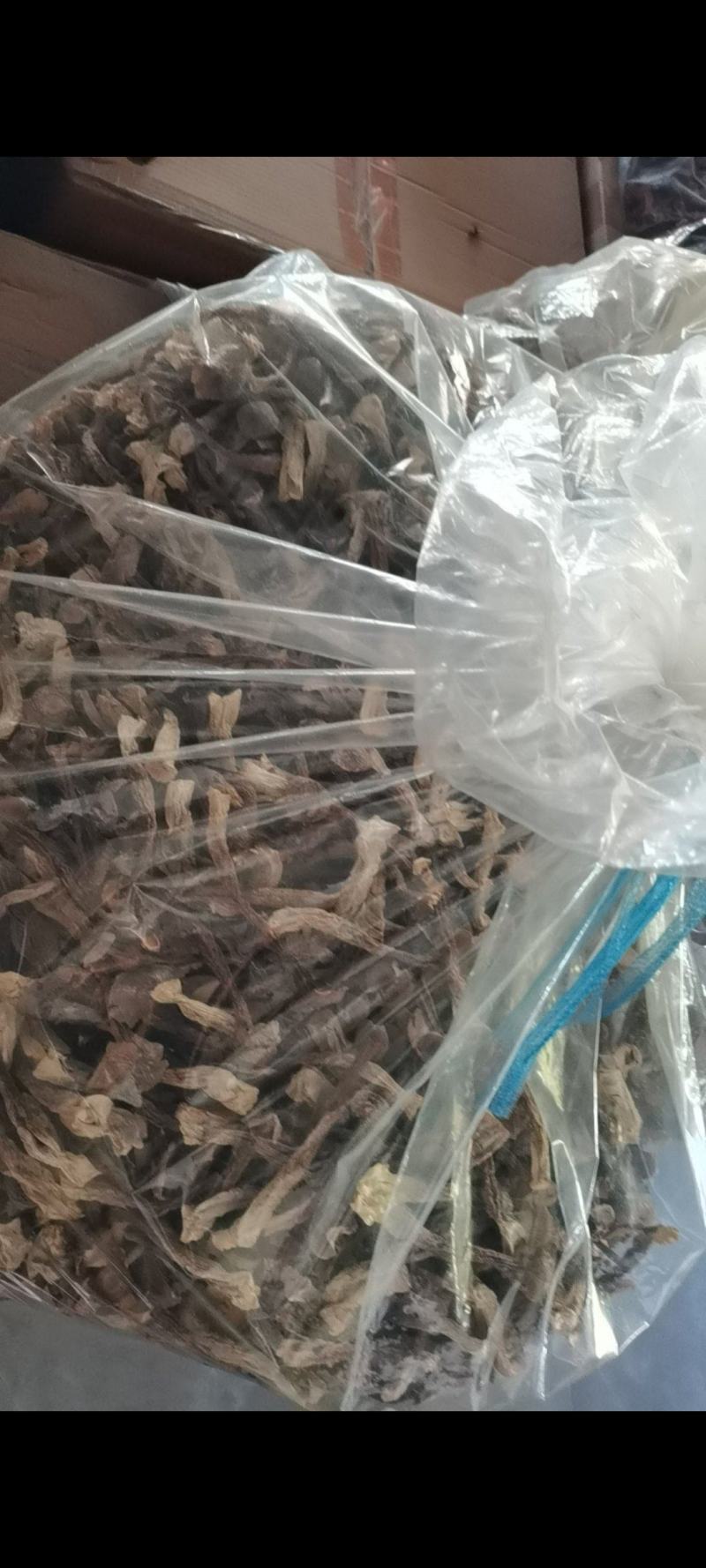 鹿茸菇干货好货批发产地一手货源本店经营各种野生菌产地批发