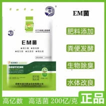 EM菌活化土破除板结增品质