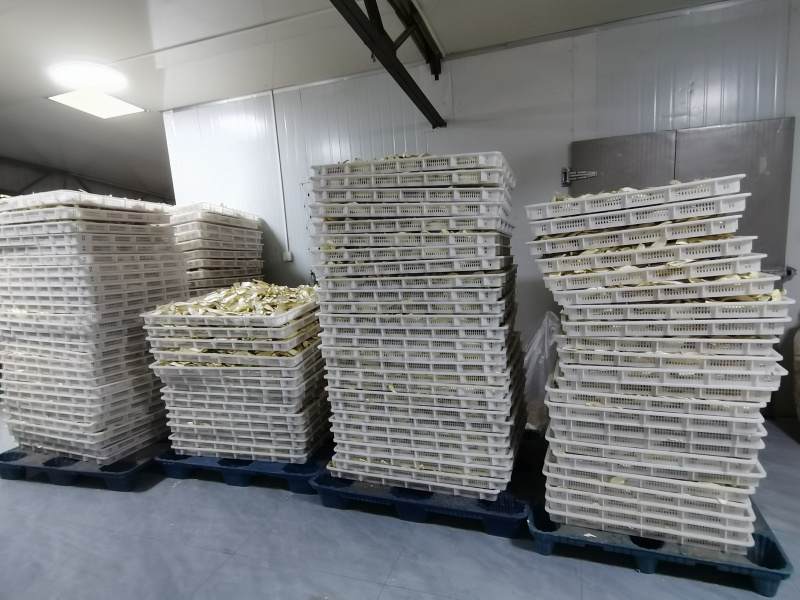 杏鲍菇干货新货到货欢迎新老客户进店咨询需要联系客服满意下
