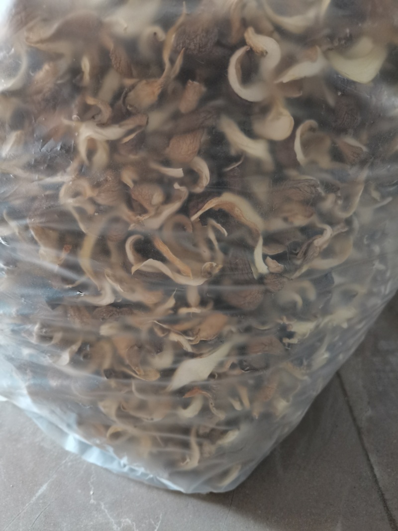 平菇干货各种规格各种型号批发需要联系价格便宜满意下单