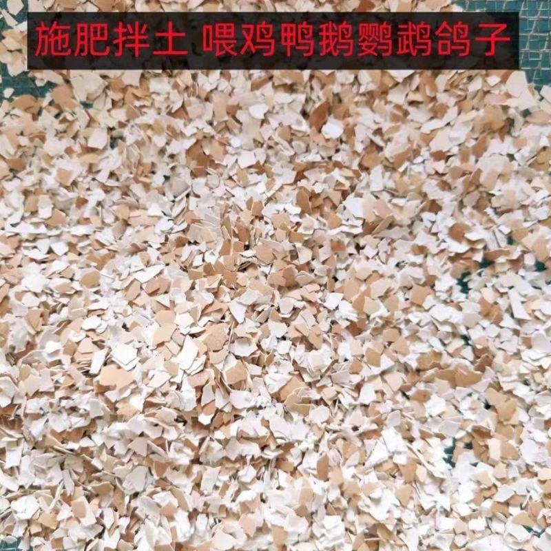 中药材人食用鸡蛋壳柴鸡蛋壳高温烘焙补钙自制超细