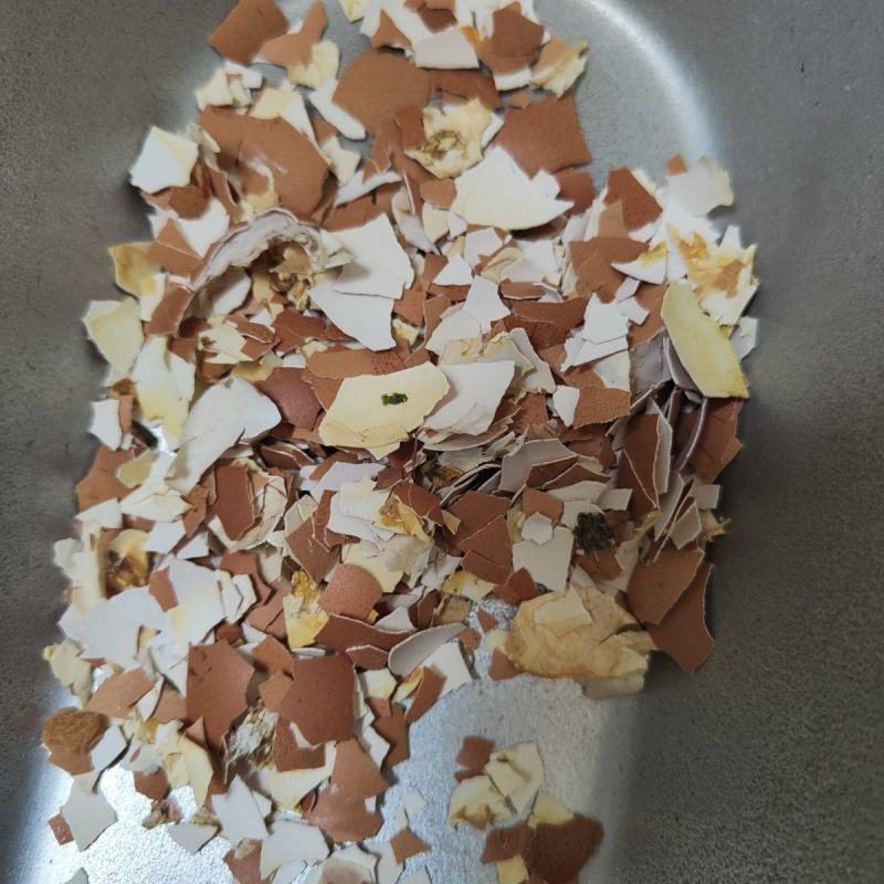 中药材人食用鸡蛋壳柴鸡蛋壳高温烘焙补钙自制超细