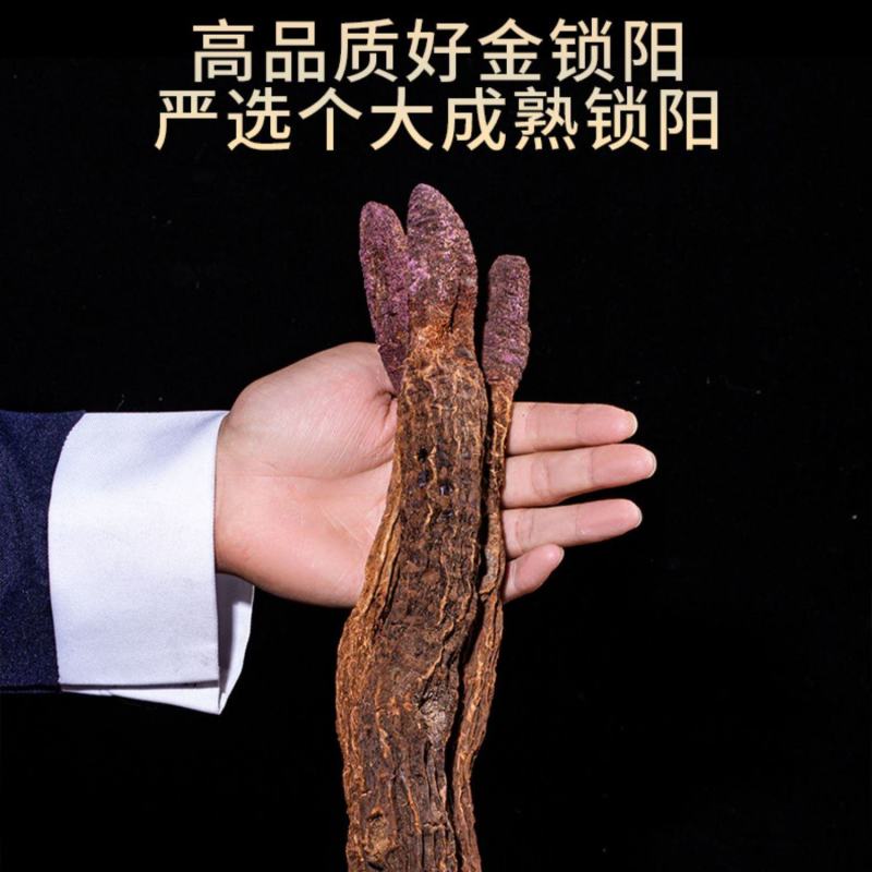 锁阳中药材批发锁阳片金锁阳泡水整根当季新货产地直发包邮