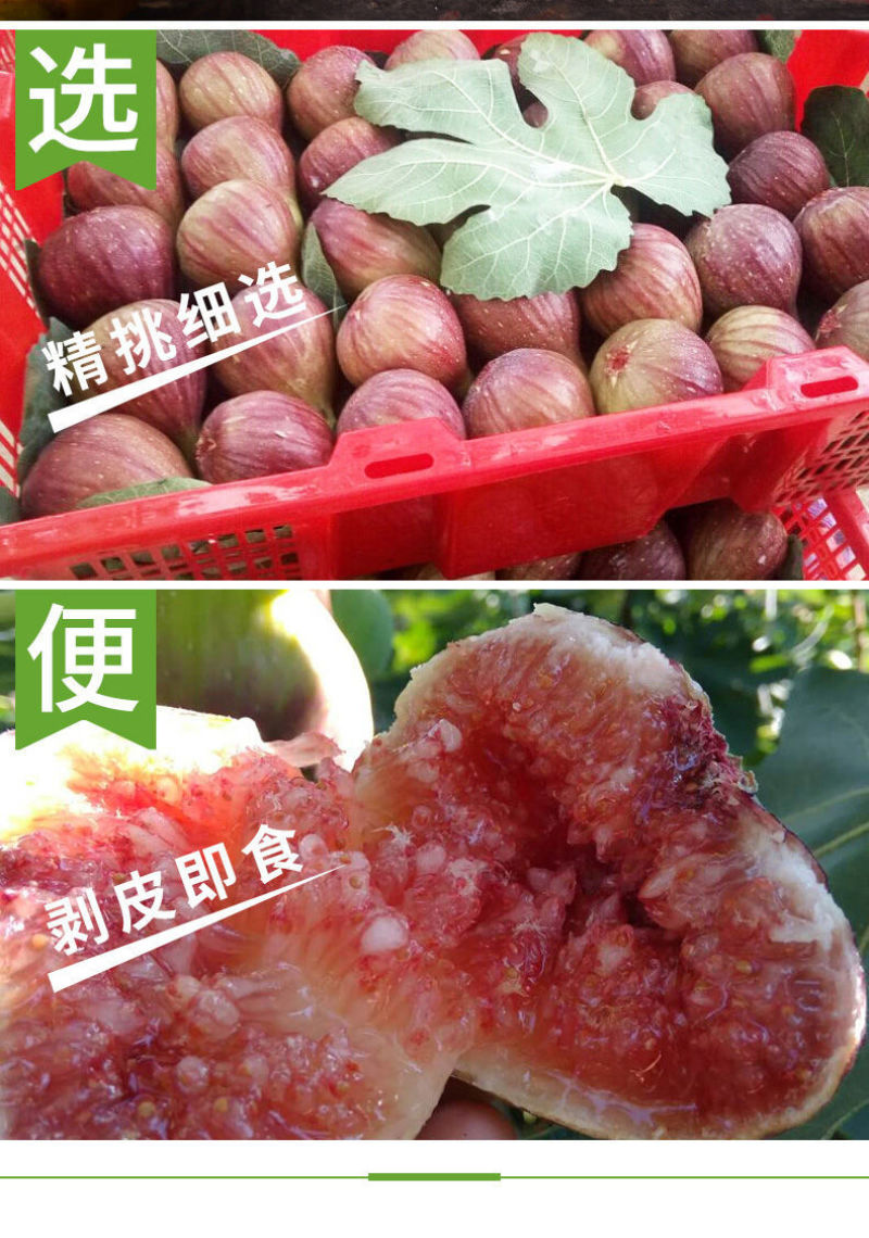 无花果鲜果