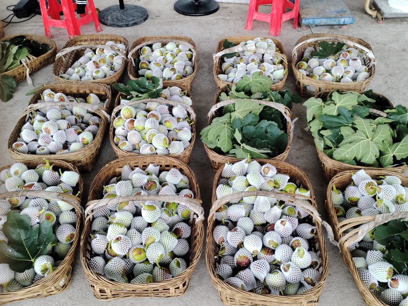 无花果鲜果