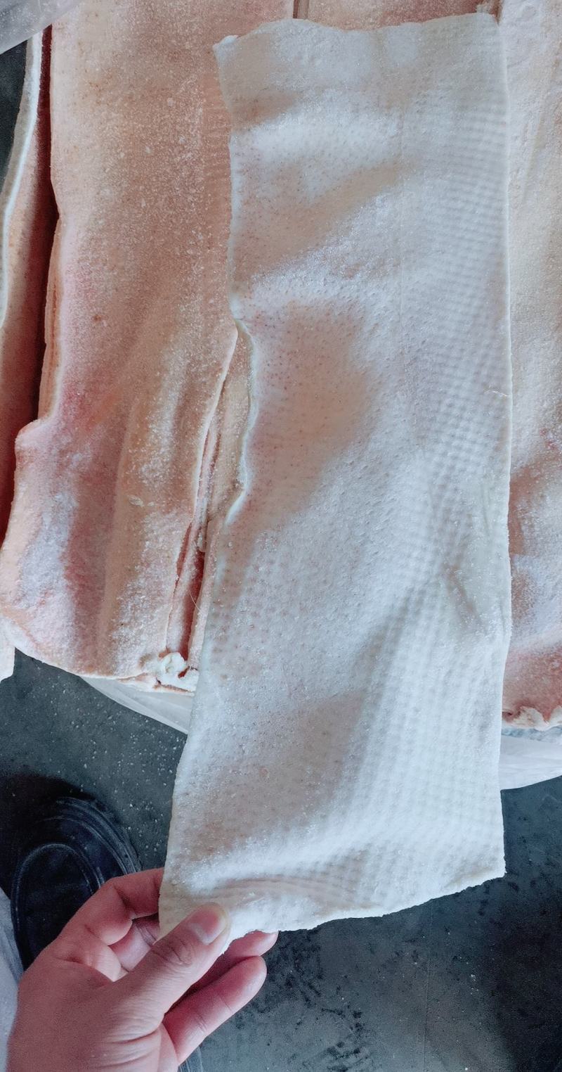 东北精品肥猪脊背皮脊皮，仓储50吨直发，保质保量，欢迎选