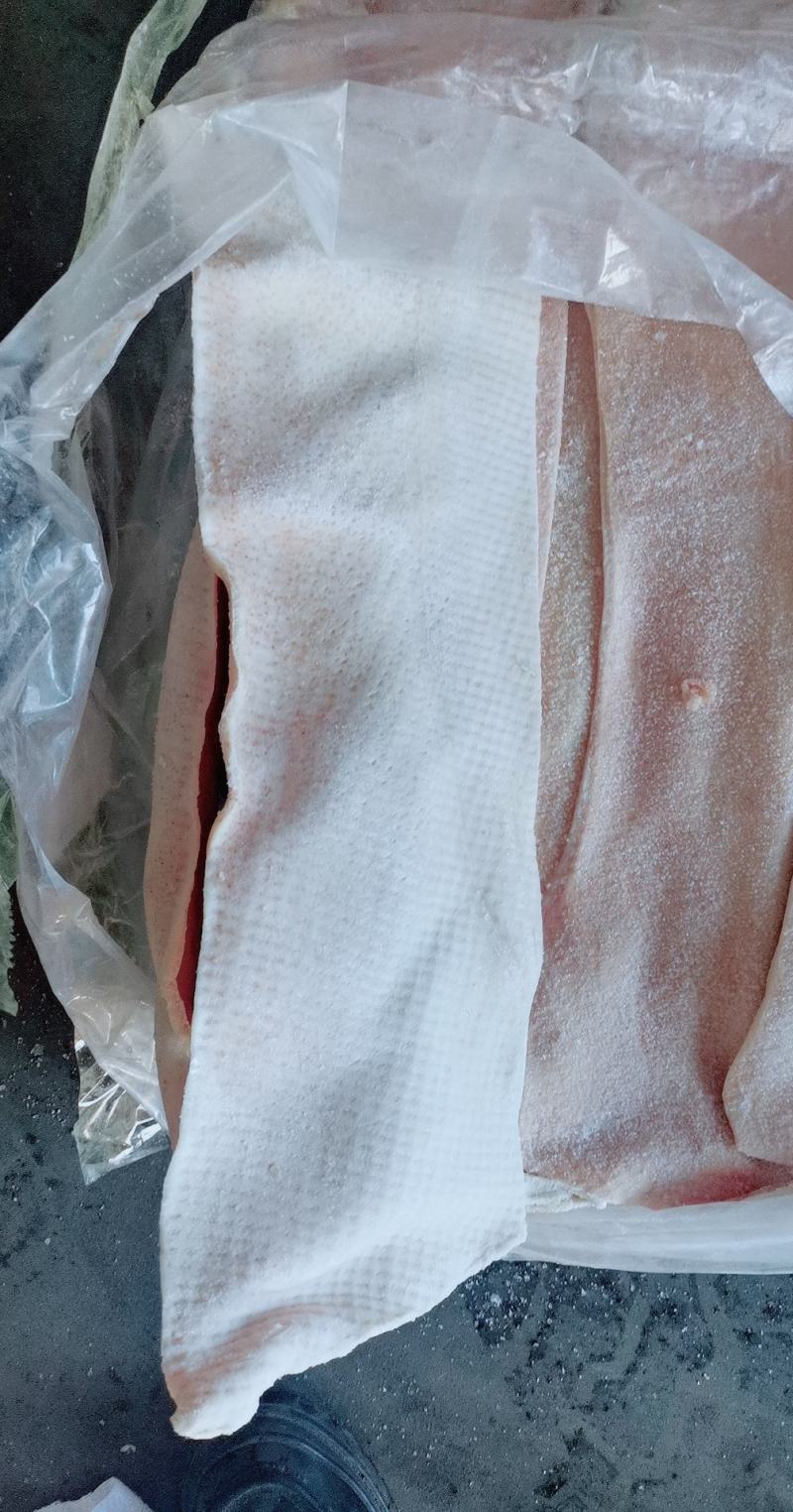 东北精品肥猪脊背皮脊皮，仓储50吨直发，保质保量，欢迎选
