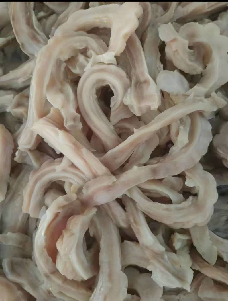 沙鱼肚，脆口肚，爽脆鱼肚，瀑辣鱼肚，啫啫鱼肚，胡椒鱼肚