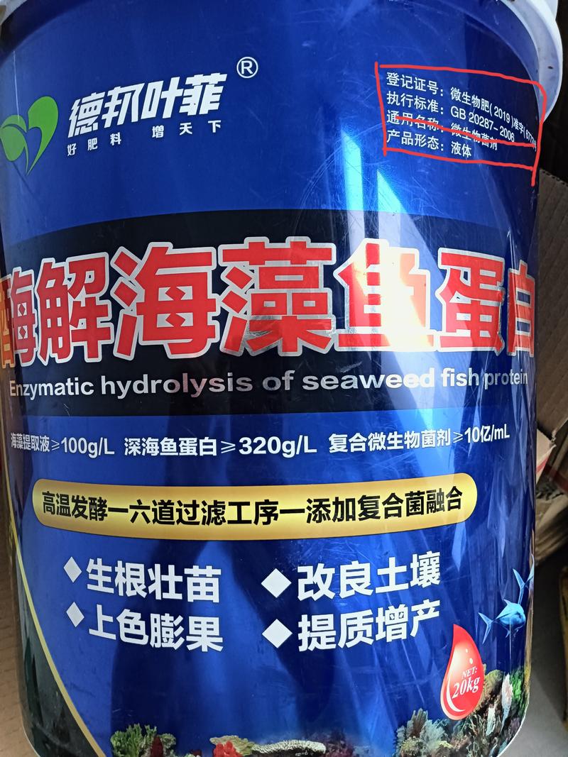 酶解海藻鱼蛋白