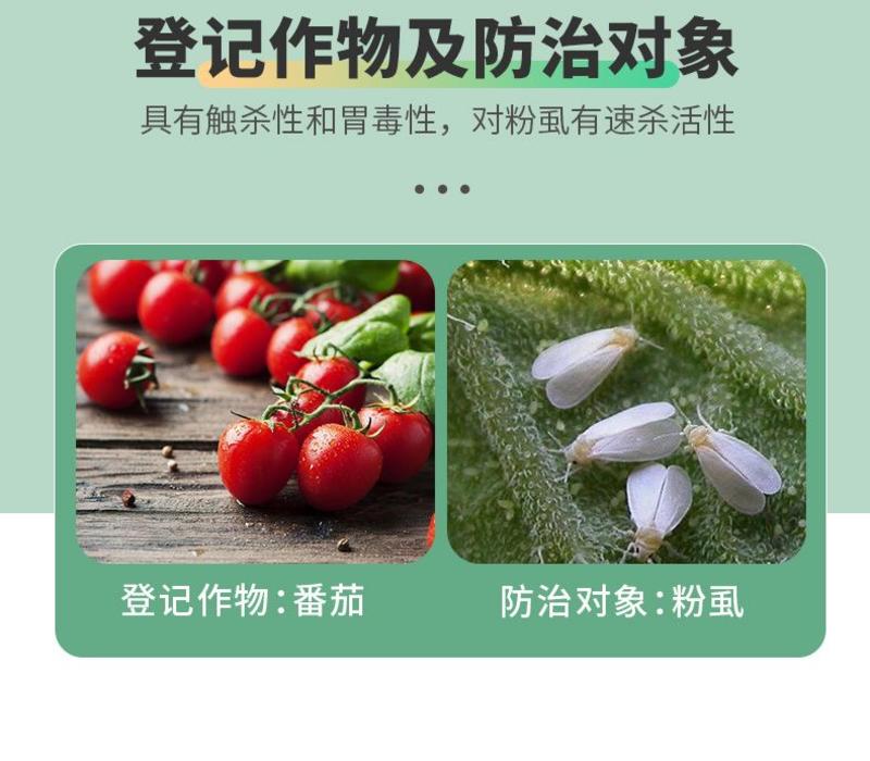 上海生农施定益10%吡丙·吡虫啉悬浮剂型杀虫剂防治粉虱农