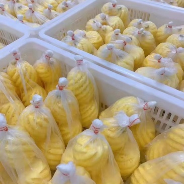 九象工厂15kg8kg香水去皮小菠萝，菠萝象风味十足