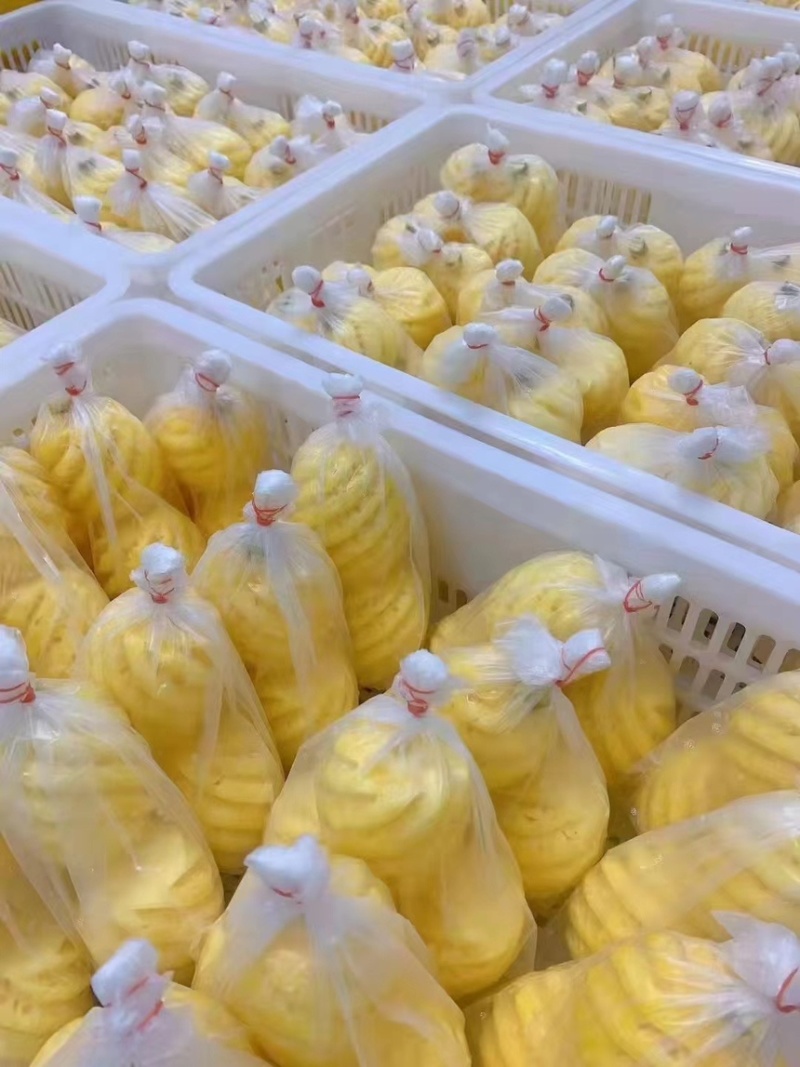 九象工厂15kg8kg香水去皮小菠萝，菠萝象风味十足