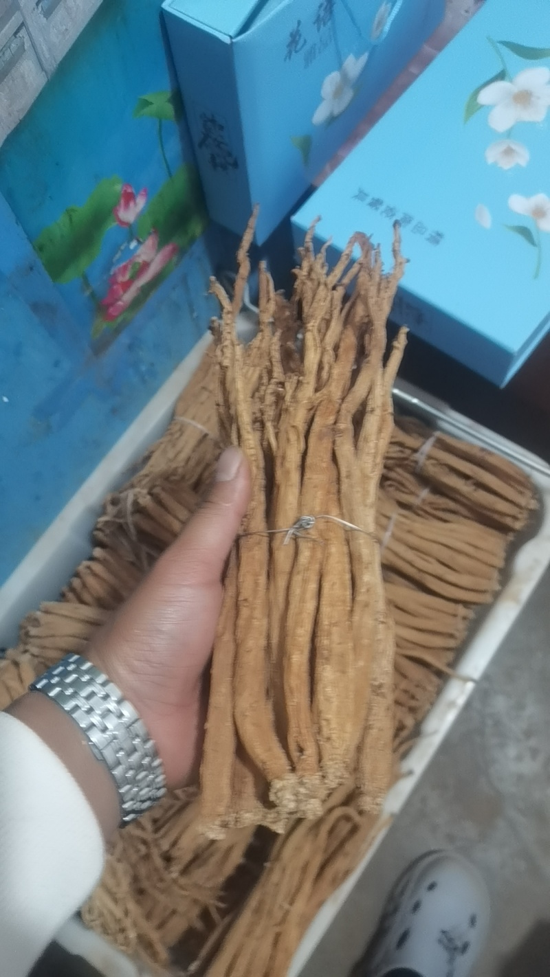 中条