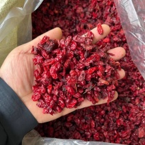 山萸肉欢迎电话咨询