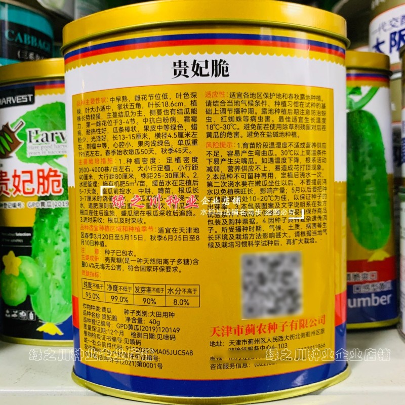 贵妃脆黄瓜种子水果黄瓜口感型清脆爽口短棒水果黄瓜种子春秋