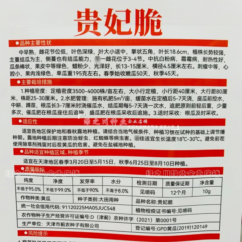贵妃脆黄瓜种子水果黄瓜口感型清脆爽口短棒水果黄瓜种子春秋