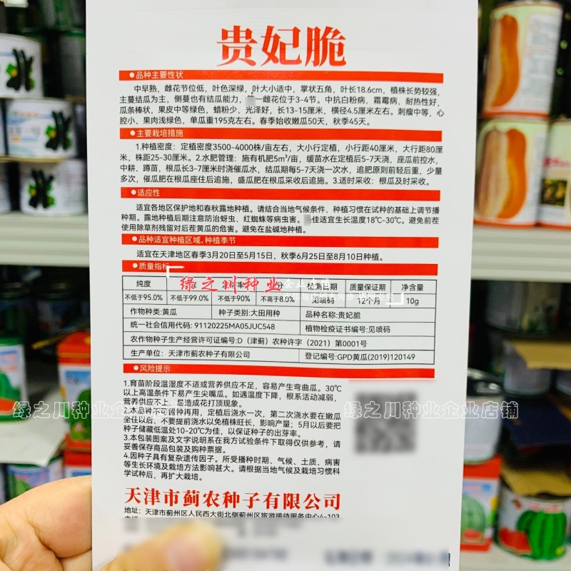 贵妃脆黄瓜种子水果黄瓜口感型清脆爽口短棒水果黄瓜种子春秋