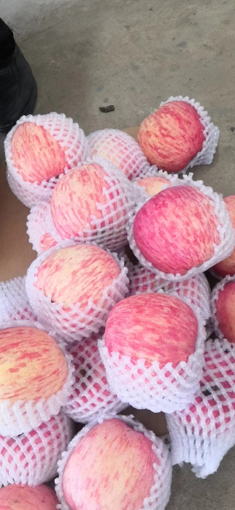【精品】膜袋红富士苹果，质量保证，产地直发货量充足欢迎选购