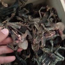 养殖场直发自产自销蟾蜍癞蛤蟆干蟾