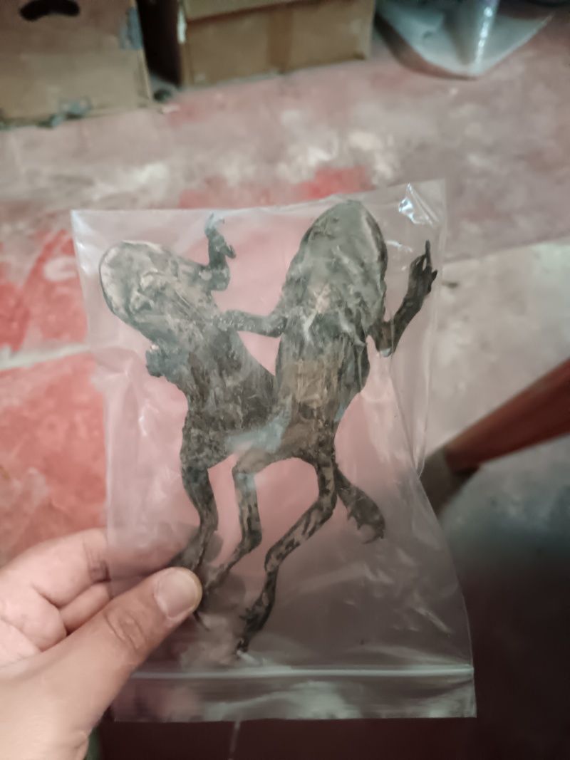 养殖场直发自产自销蟾蜍癞蛤蟆干蟾