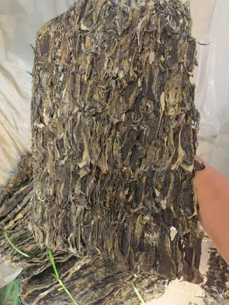 养殖场直发自产自销蟾蜍皮癞蛤蟆皮