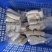 广西糯米木薯，真空包装，当日发货品质保证产地直发