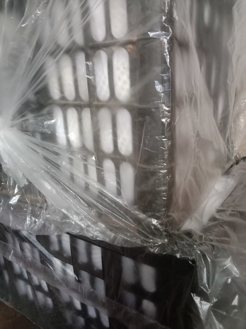 新梨七号
