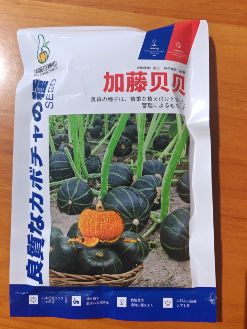 日本加藤贝贝南瓜板栗南瓜，粉糯香甜，包邮