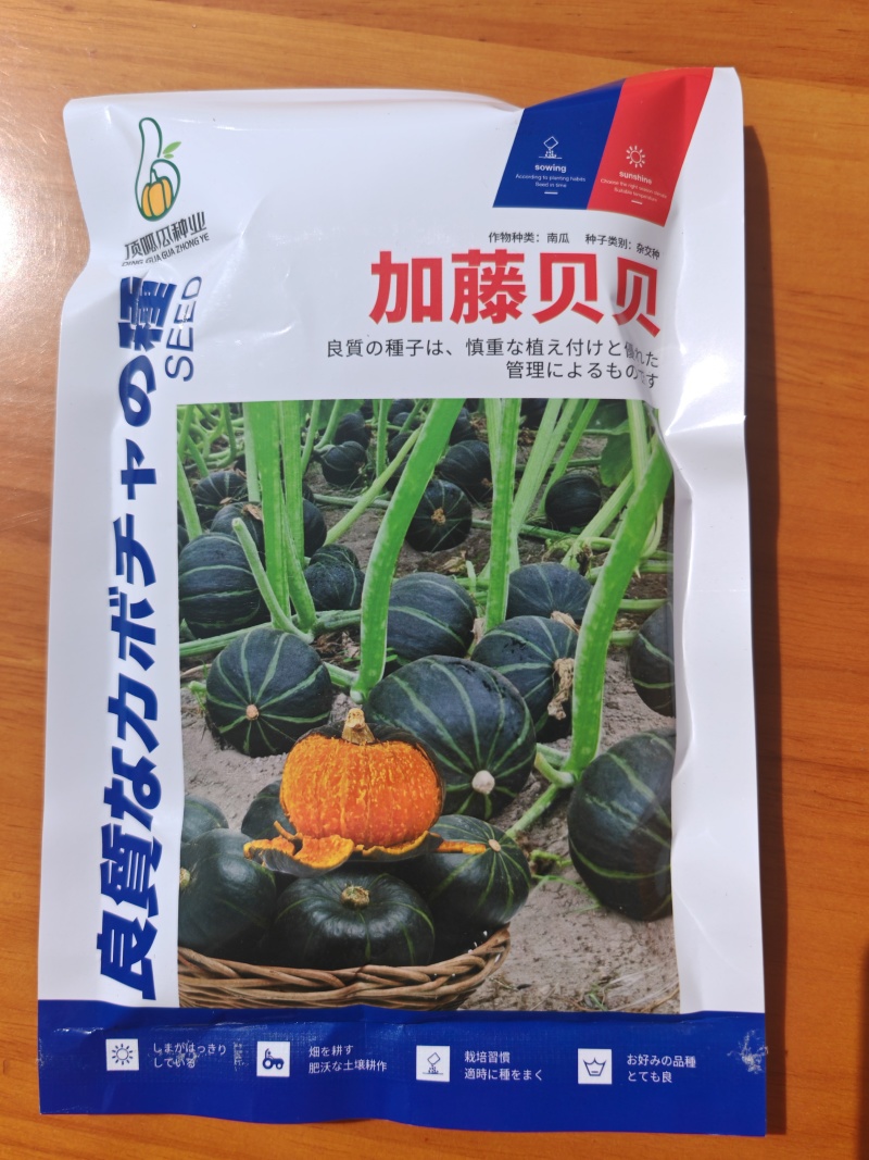 日本加藤贝贝南瓜板栗南瓜，粉糯香甜，包邮