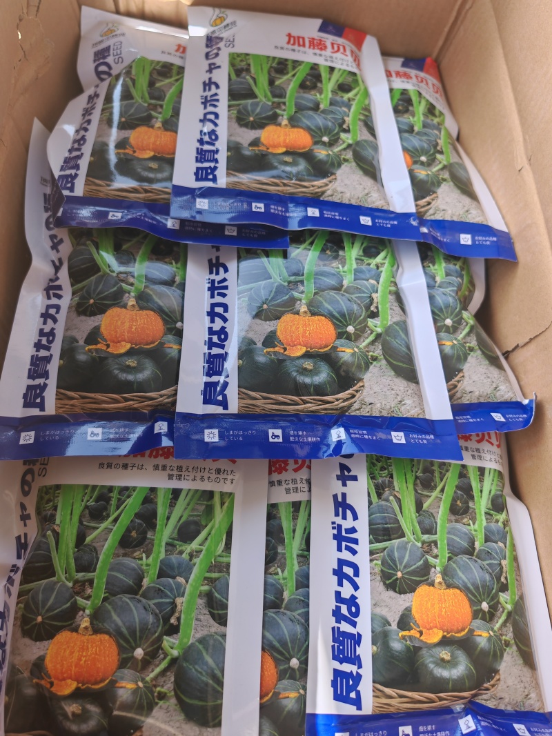 日本加藤贝贝南瓜板栗南瓜，粉糯香甜，包邮