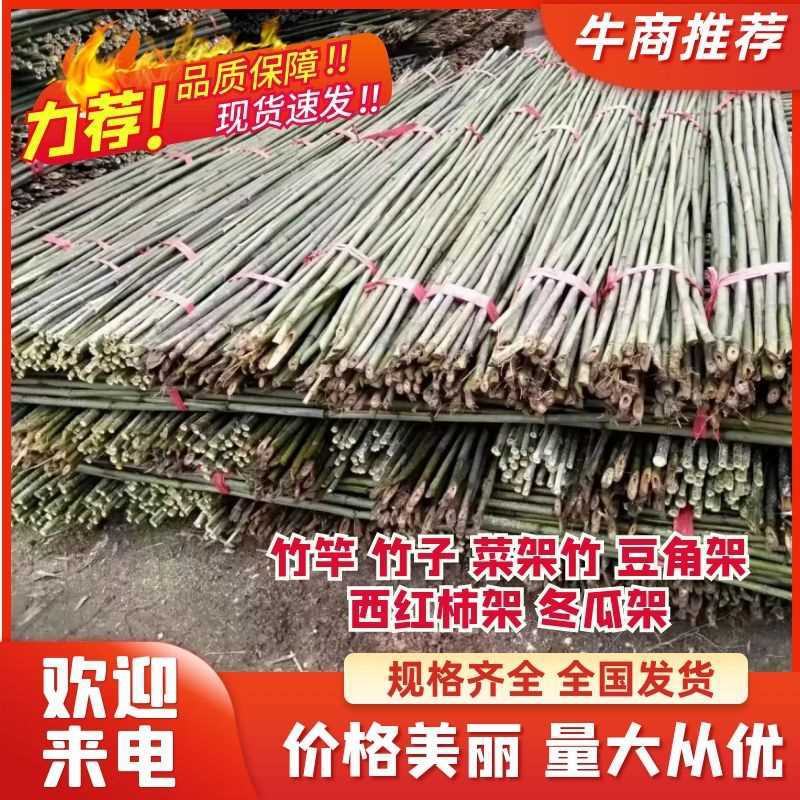 优质竹竿，金竹，菜架竹，西红柿架杆，火龙架，产地直销