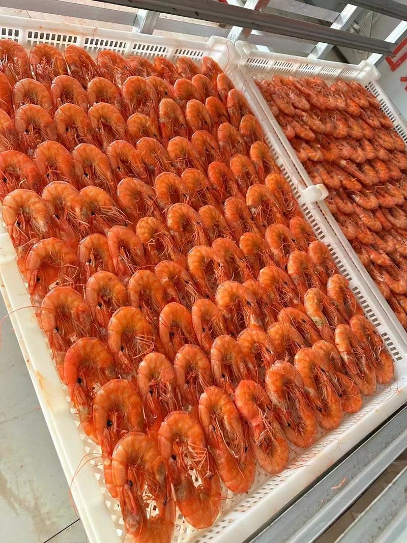 烤虾烤虾干大个淡干烤虾产地批发对接全国市场电商