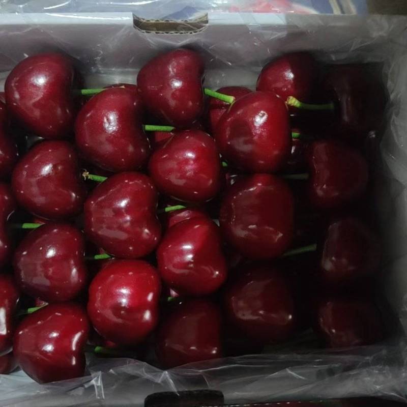 精品万亩大樱桃。品种齐全。硬度好。耐运输。货源充足。
