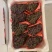 红河葡萄茉莉香葡萄规格齐全串行好提供包装承接电商代发批发