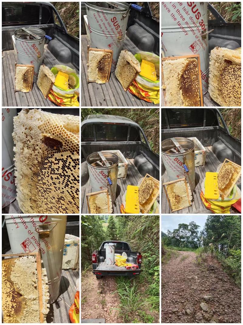 大山养殖野生蜂蜜品质保障质量保障欢迎全国各地订购