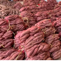 河南西瓜红红薯大量有货，欢迎全国采购商联系，价格可谈～