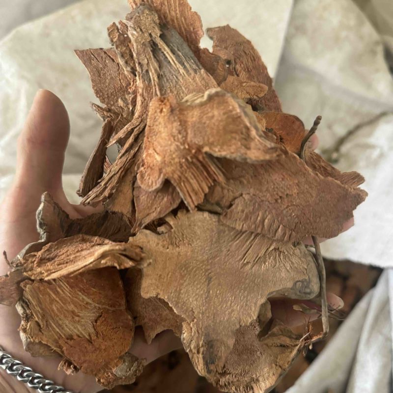菝葜金刚藤菝楔实拍发货如图菝薤