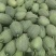 晓密25哈密瓜