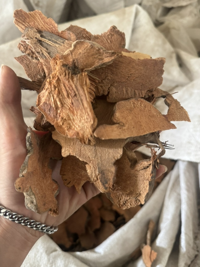 菝葜金刚藤菝楔实拍发货如图菝薤
